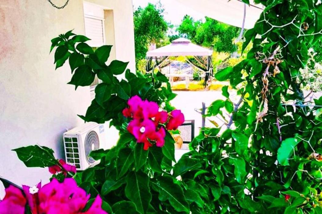 Casa Katina , Villa In Lagana, Agrilia Area Laganas Bagian luar foto